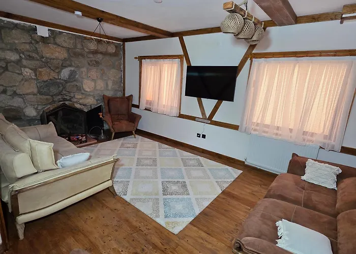 شاليه Uludag & Sirin Sogukpinar